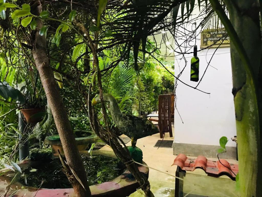 Green Jade Inn Mirissa Luaran gambar